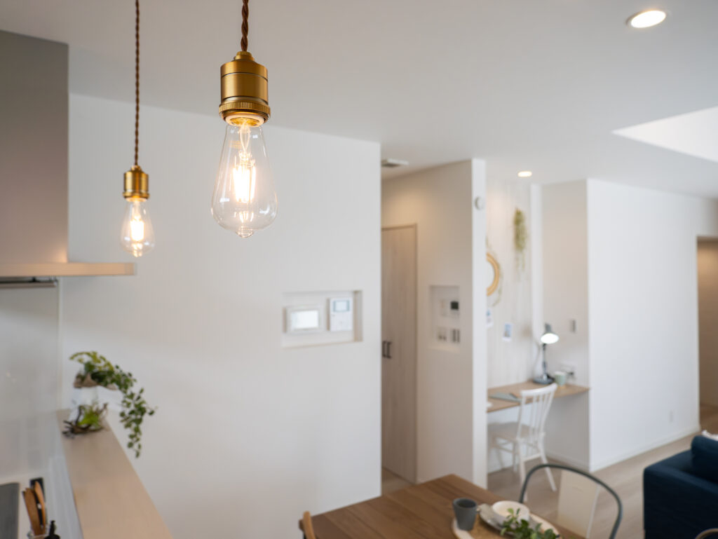 【30坪平屋】西海岸デザインと勾配天井が叶える開放的な暮らし